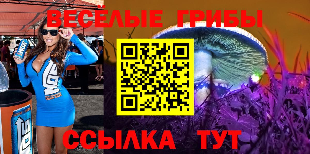 дарнет шоп  Псилоцибиновые грибы Cubensis  Вход с VPN  Коммунар 